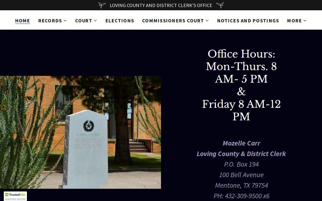 Loving County criminal case records on the combined clerk website